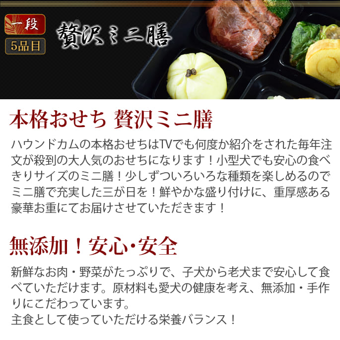 ��9��25��ͽ�󳫻ϡ۸�ǭ�Ѥ�������ǯ�ۤ����ɤ� 2026ǯ�������ߥ��� 1�� 5�����ꡡ���Ѥ����������ڥå��Ѥ��������ڥå��Ѥ����a0209��