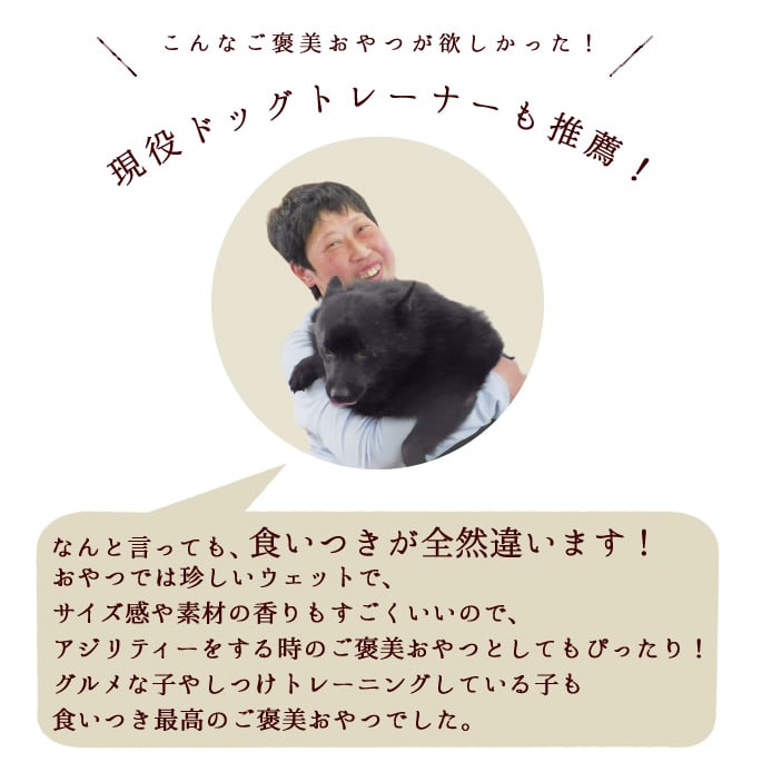 ��ǭ��̵ź�ä���� �ݤƥ��塼��5�ޥ��åȡڥϥ���ɥ��࿩Ʋ�ۡ������