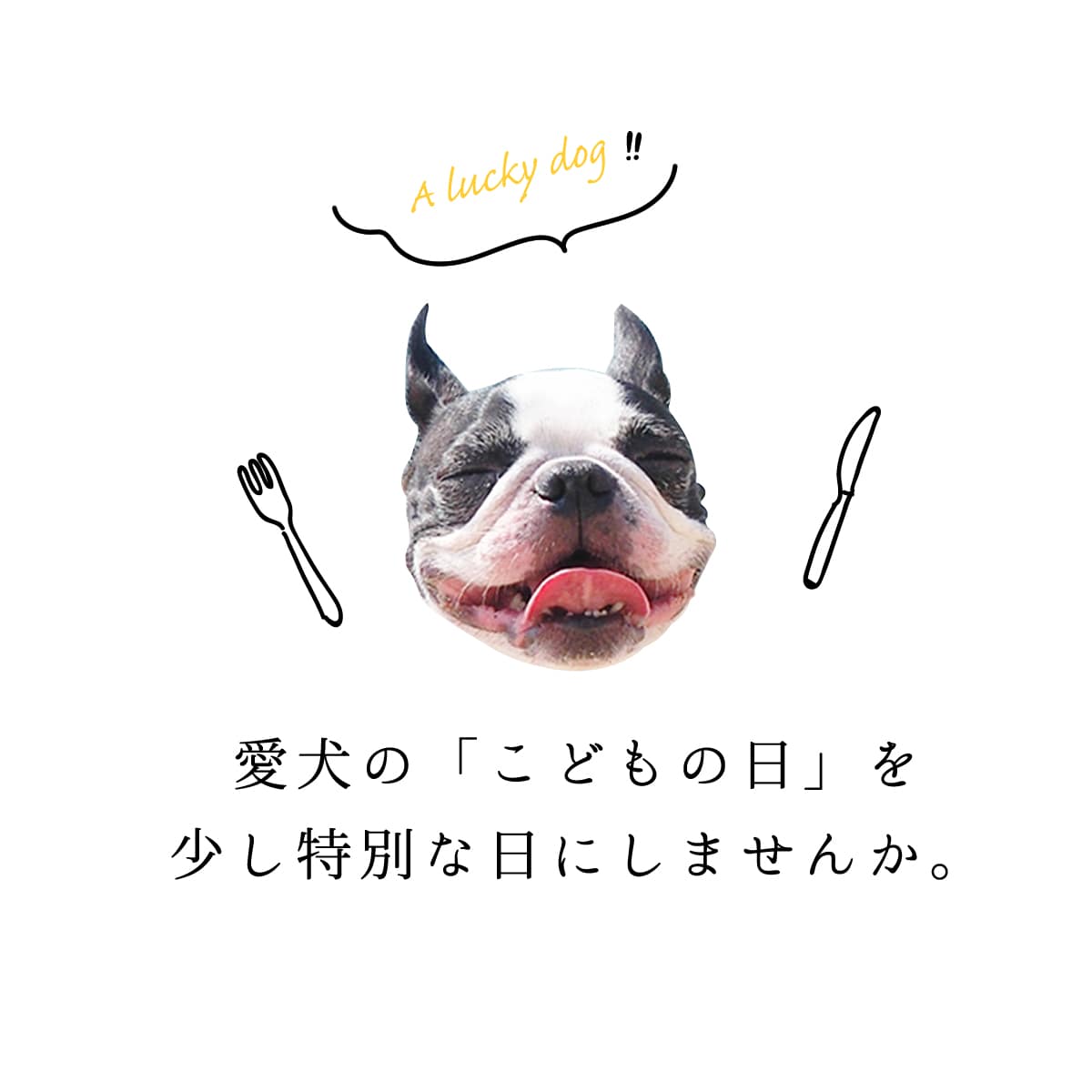 �����Ѽ��ꤴ�Ϥ� ���ɤ���� ���ꤴ�Ϥ�ȥ������ĥ��åȡ������ءۢ�5��5���Τ��Ϥ��ˤϴ֤˹礤���ͤޤ��ΤǤ�λ�����������ޤ�