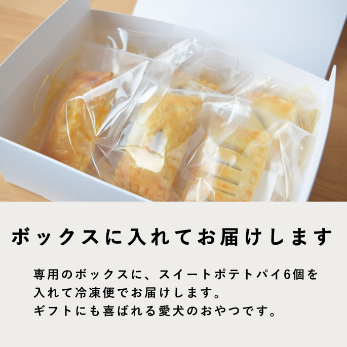 Ѥ Ʋꥹȥݥƥȥѥ 6 ڥϥɥ࿩Ʋۡء