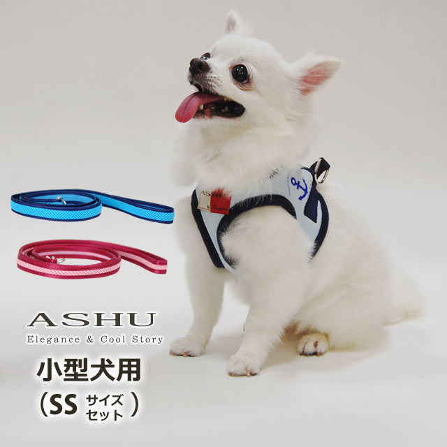 ASHU󥰥ϡͥ꡼ɥå SS(Ķ)