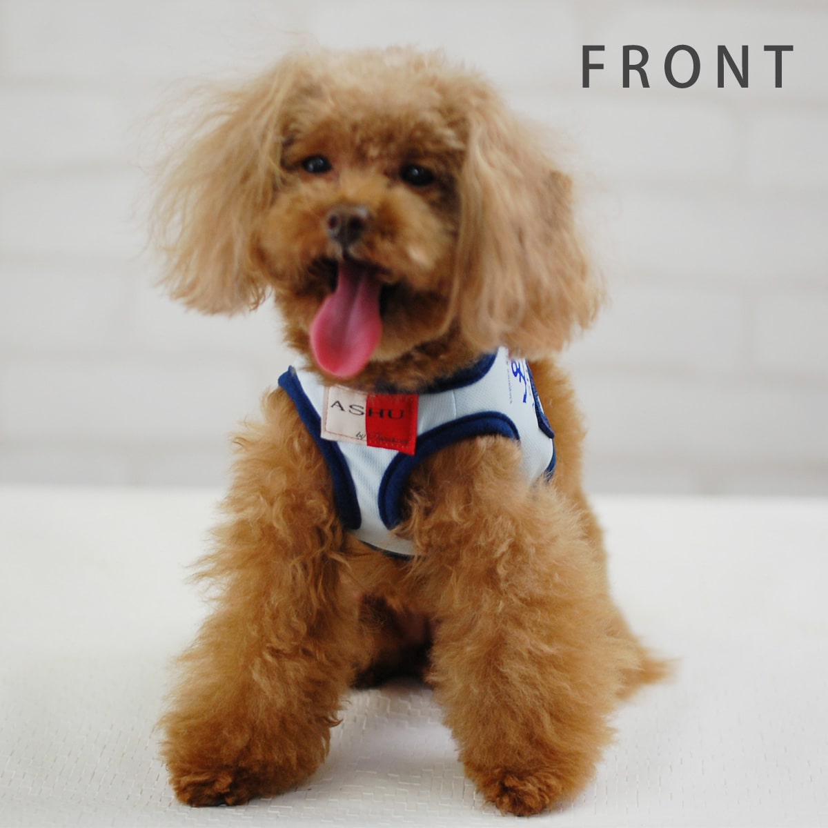 ASHU󥰥ϡͥ꡼ɥå SS(Ķ)