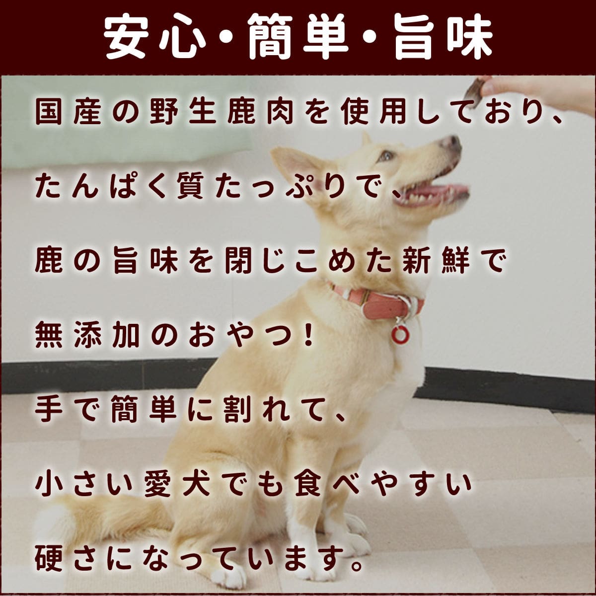 ��ǭ�Ѥ���ġ��������ƥ��å������åס�̵ź�å��㡼���� �� 5�ޥ��å� �ˡ�a0157��