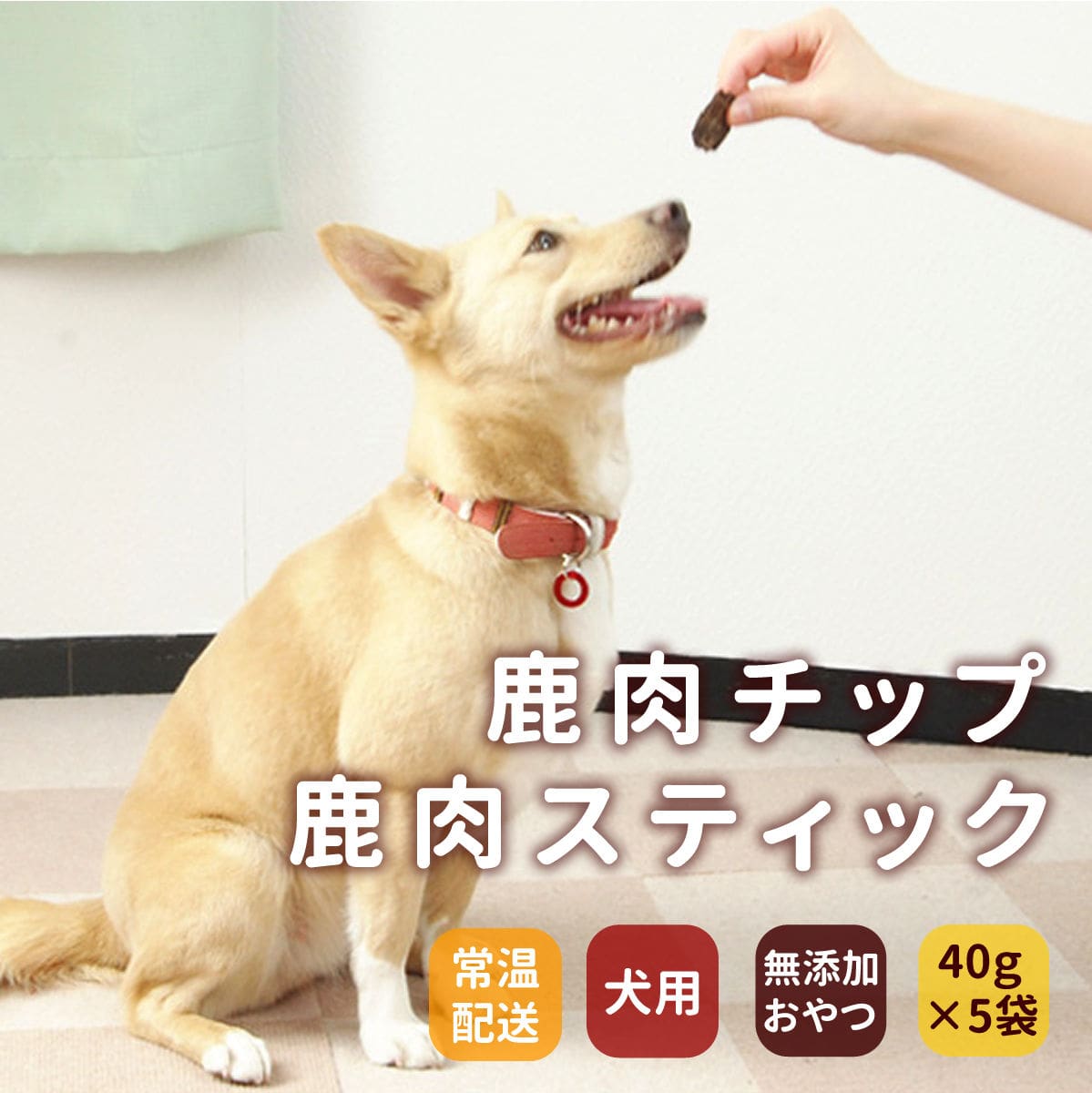 ��ǭ�Ѥ���ġ��������ƥ��å������åס�̵ź�å��㡼���� �� 5�ޥ��å� �ˡ�a0157��