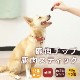 ��ǭ�Ѥ���ġ��������ƥ��å������åס�̵ź�å��㡼���� �� 5�ޥ��å� �ˡ�a0157��