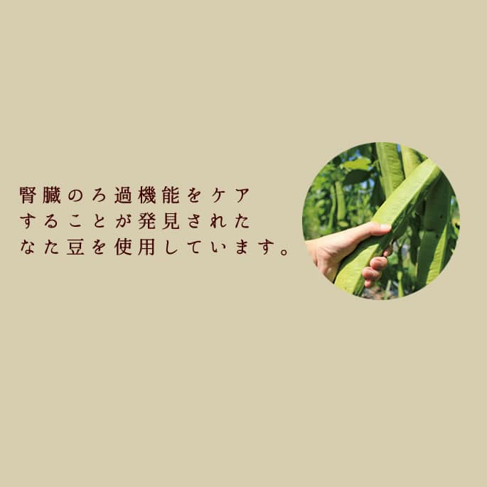 ��ǭ��̵ź�ä���� �ݤƥ��塼��10��1�ޥ��åȡڥϥ���ɥ��࿩Ʋ�ۡ������