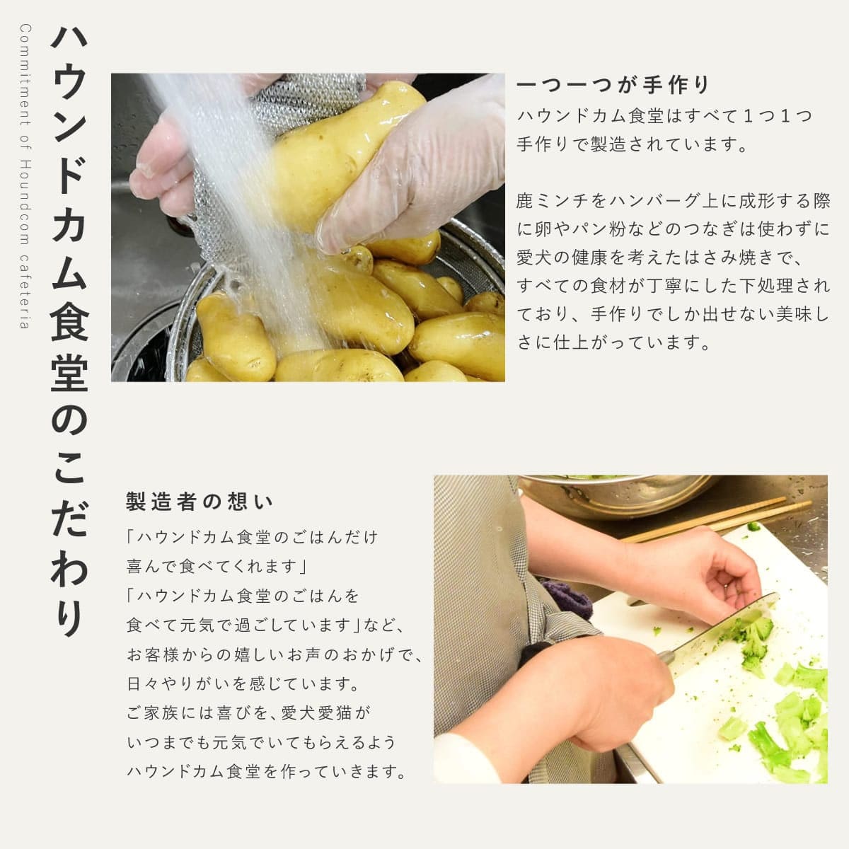  ꤴϤ 㤬μߥϤ߾Ƥ 6/12/24/å ڥϥɥ࿩Ʋۡء