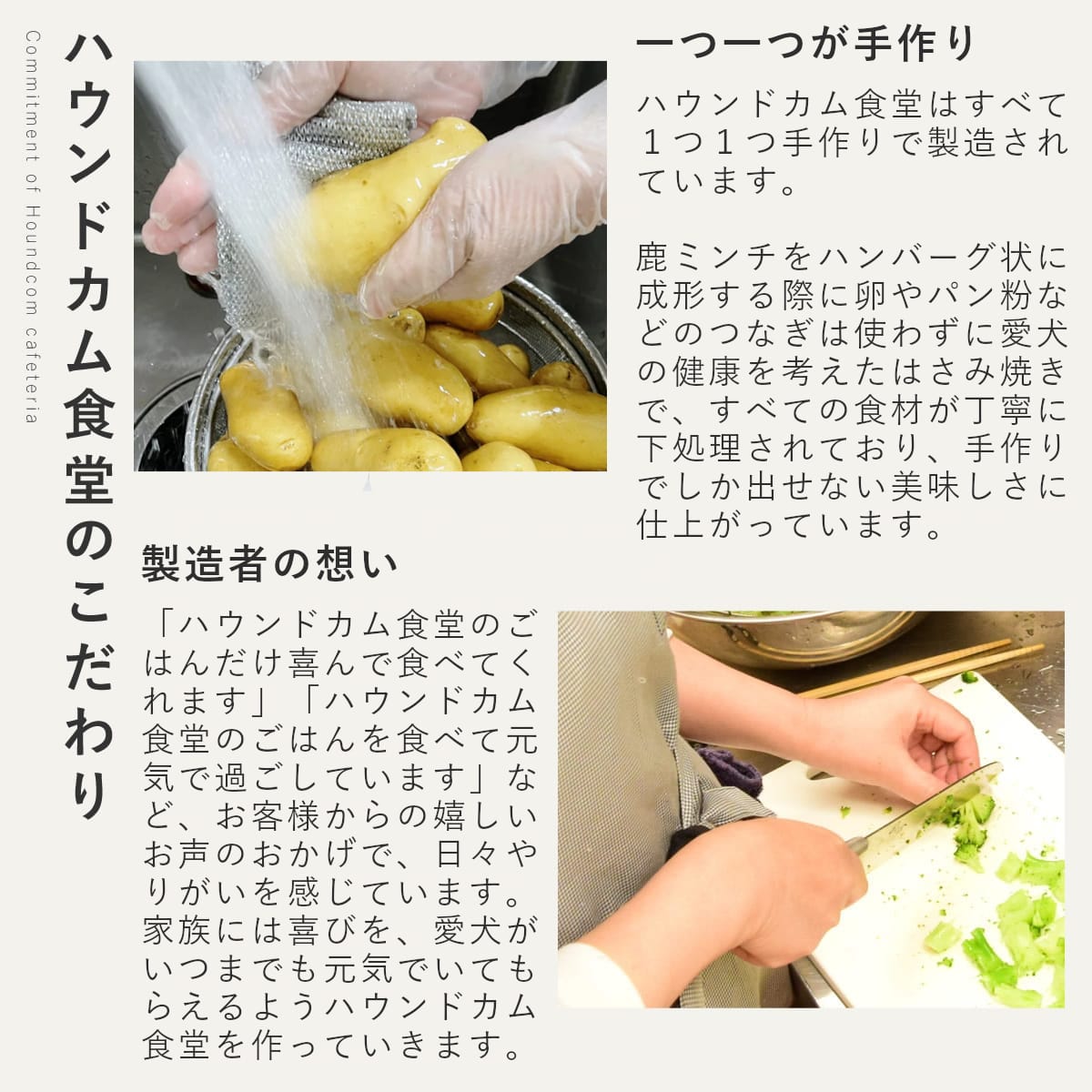 ������ ���ꤴ�Ϥ� ���㤬����μ��ߥ���Ϥ��߾Ƥ� 6��/12��/24��/���å� �ڥϥ���ɥ��࿩Ʋ�ۡ������ء�