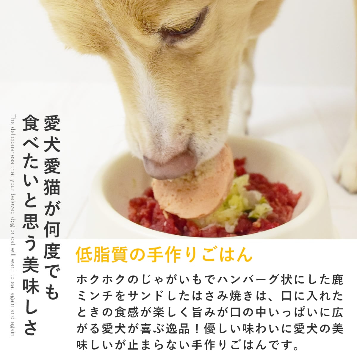 ������ ���ꤴ�Ϥ� ���㤬����μ��ߥ���Ϥ��߾Ƥ� 6��/12��/24��/���å� �ڥϥ���ɥ��࿩Ʋ�ۡ������ء�