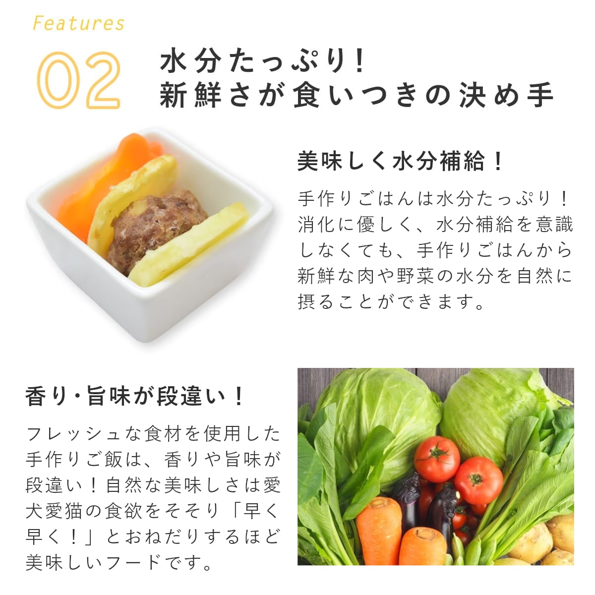 ������ ���ꤴ�Ϥ� ���㤬����μ��ߥ���Ϥ��߾Ƥ� 6��/12��/24��/���å� �ڥϥ���ɥ��࿩Ʋ�ۡ������ء�