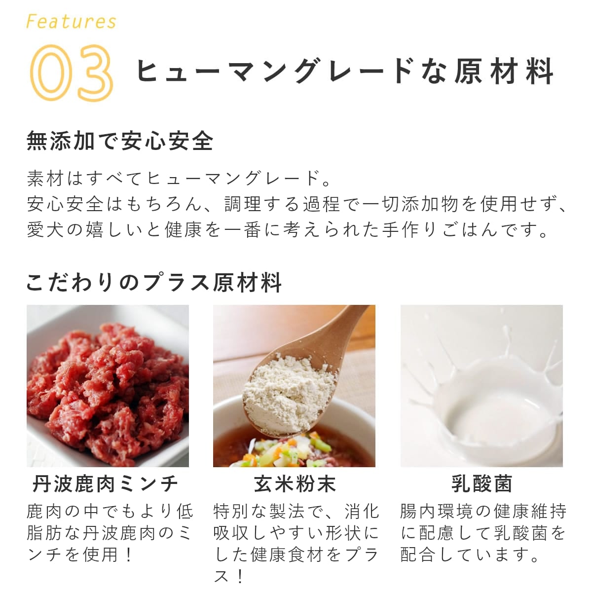 ������ ���ꤴ�Ϥ� ���㤬����μ��ߥ���Ϥ��߾Ƥ� 6��/12��/24��/���å� �ڥϥ���ɥ��࿩Ʋ�ۡ������ء�