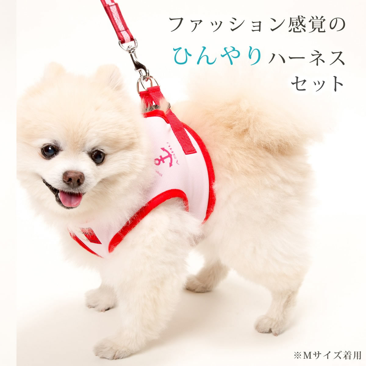 ASHU󥰥ϡͥ꡼ɥå S()