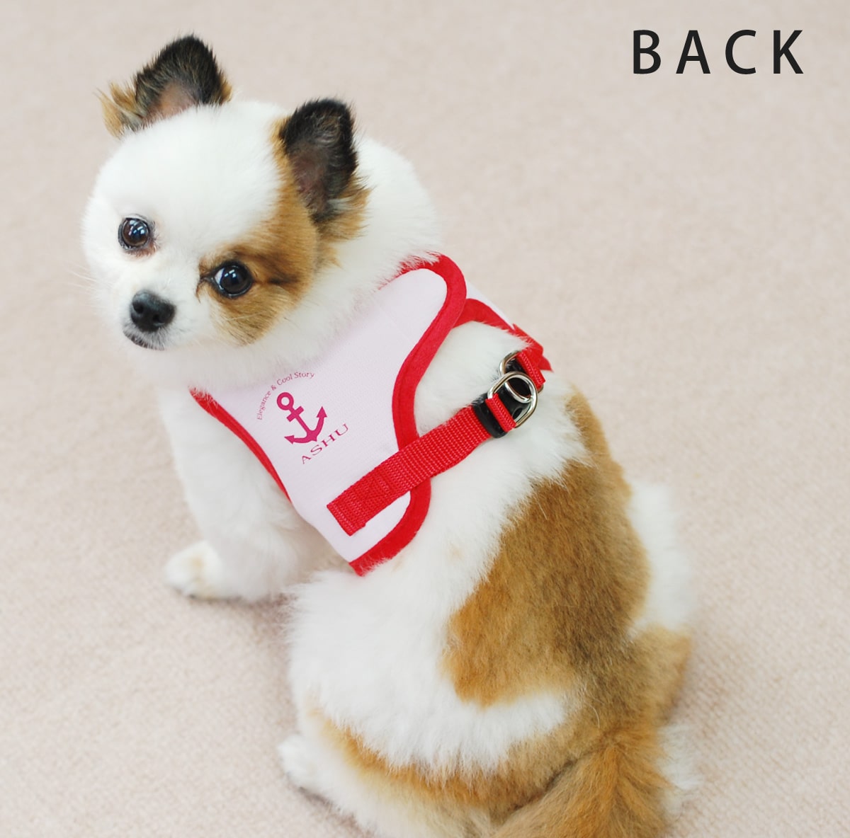 ASHU󥰥ϡͥ꡼ɥå S()