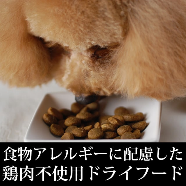 �ȥ饤�ץɥ饤���ɥå��ա��ɡ�GL�٥˥���230g�����������Ǥ��ޤ���