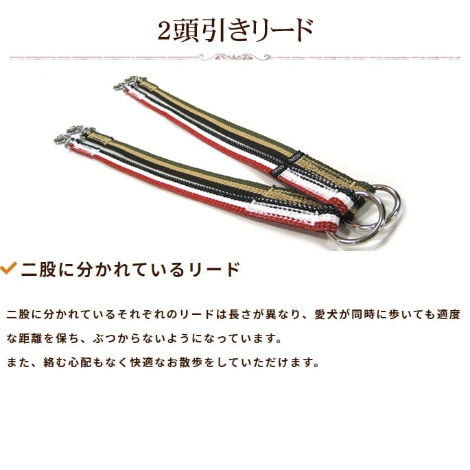 ¿Ƭ�����ˡ�ASHU���ȥꥳ�����롡��Ƭ�������꡼�� ���å�