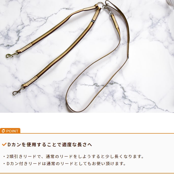 ¿Ƭ�����ˡ�ASHU���ȥꥳ�����롡��Ƭ�������꡼�� ���å�