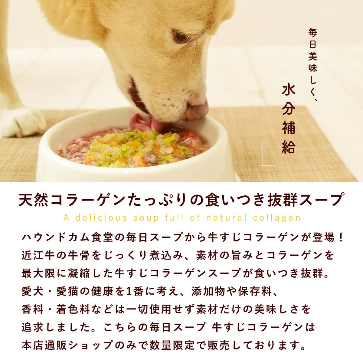 ����Ź����SHOP����� ��������ǭ�� ���������� ���������顼���� �������ء� �ڥϥ���ɥ��࿩Ʋ��