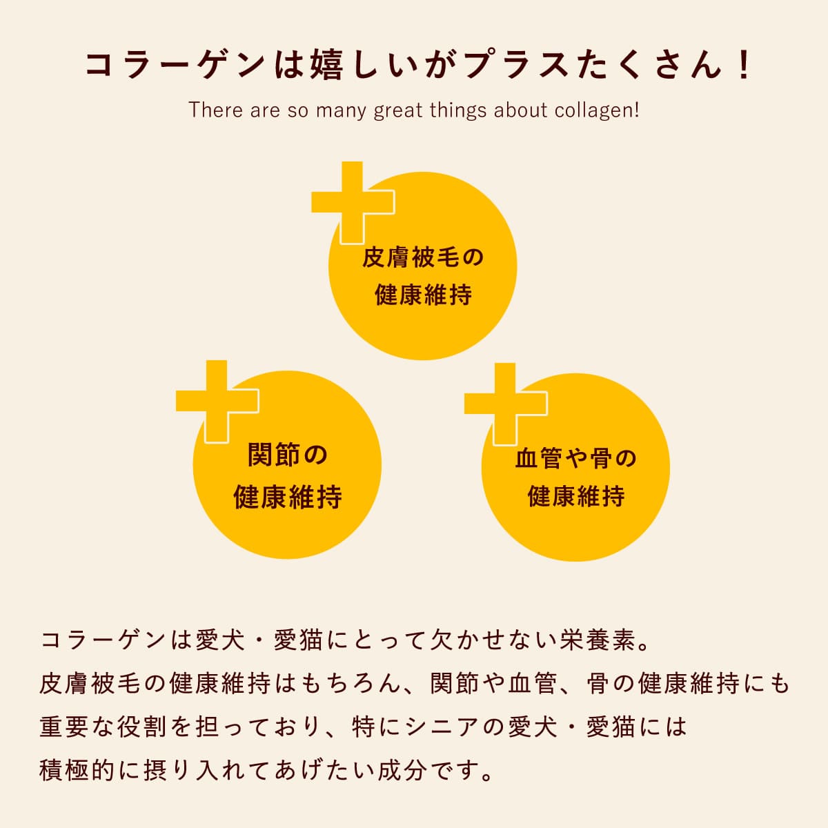 ����Ź����SHOP����� ��������ǭ�� ���������� ���������顼���� �������ء� �ڥϥ���ɥ��࿩Ʋ��