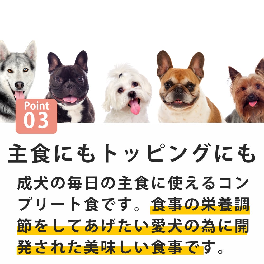 �ƥ饫�˥�������٥åȡ������ե��å� ���󥬥롼 400g�����ѿ�����ˡ��������ä��νŴ������¡�ˤ䤵��������ץ꡼�ȿ�