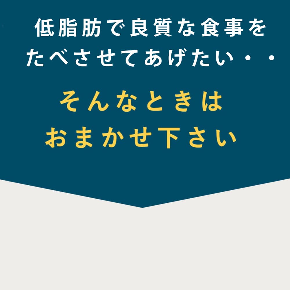 �ƥ饫�˥�������٥åȡ������ե��å� ���󥬥롼 400g�����ѿ�����ˡ��������ä��νŴ������¡�ˤ䤵��������ץ꡼�ȿ�