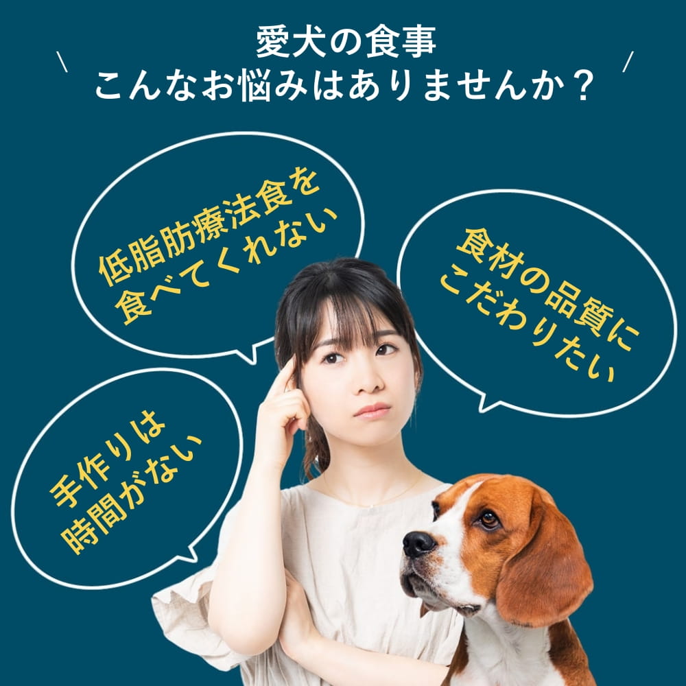 �ƥ饫�˥�������٥åȡ������ե��å� ���󥬥롼 400g�����ѿ�����ˡ��������ä��νŴ������¡�ˤ䤵��������ץ꡼�ȿ�