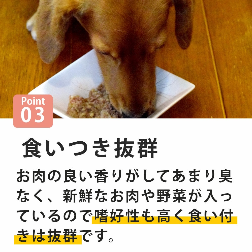 �ƥ饫�˥�������٥åȡ������ե��å� ���󥬥롼 400g�����ѿ�����ˡ��������ä��νŴ������¡�ˤ䤵��������ץ꡼�ȿ�