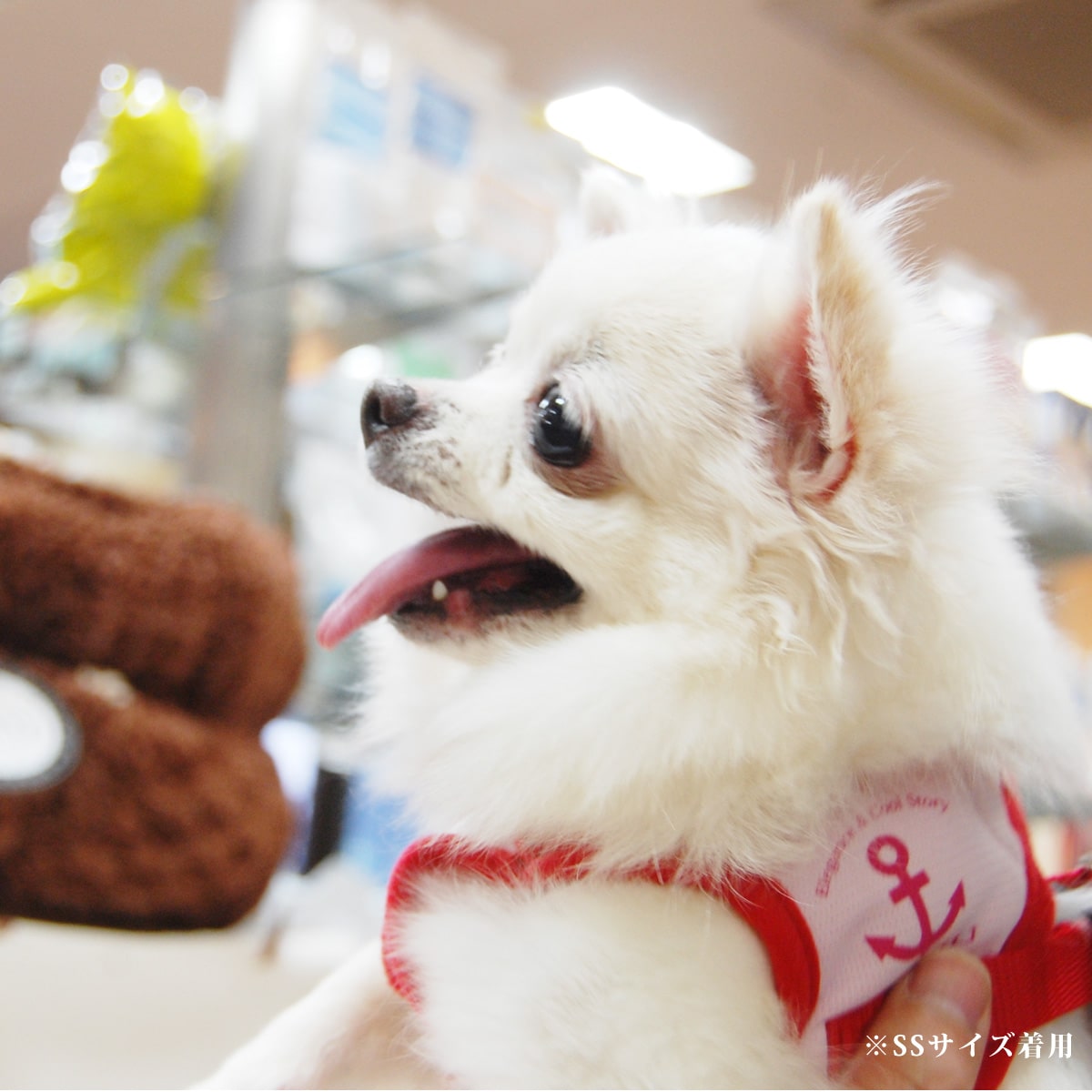 ASHU󥰥ϡͥ꡼ɥå M()