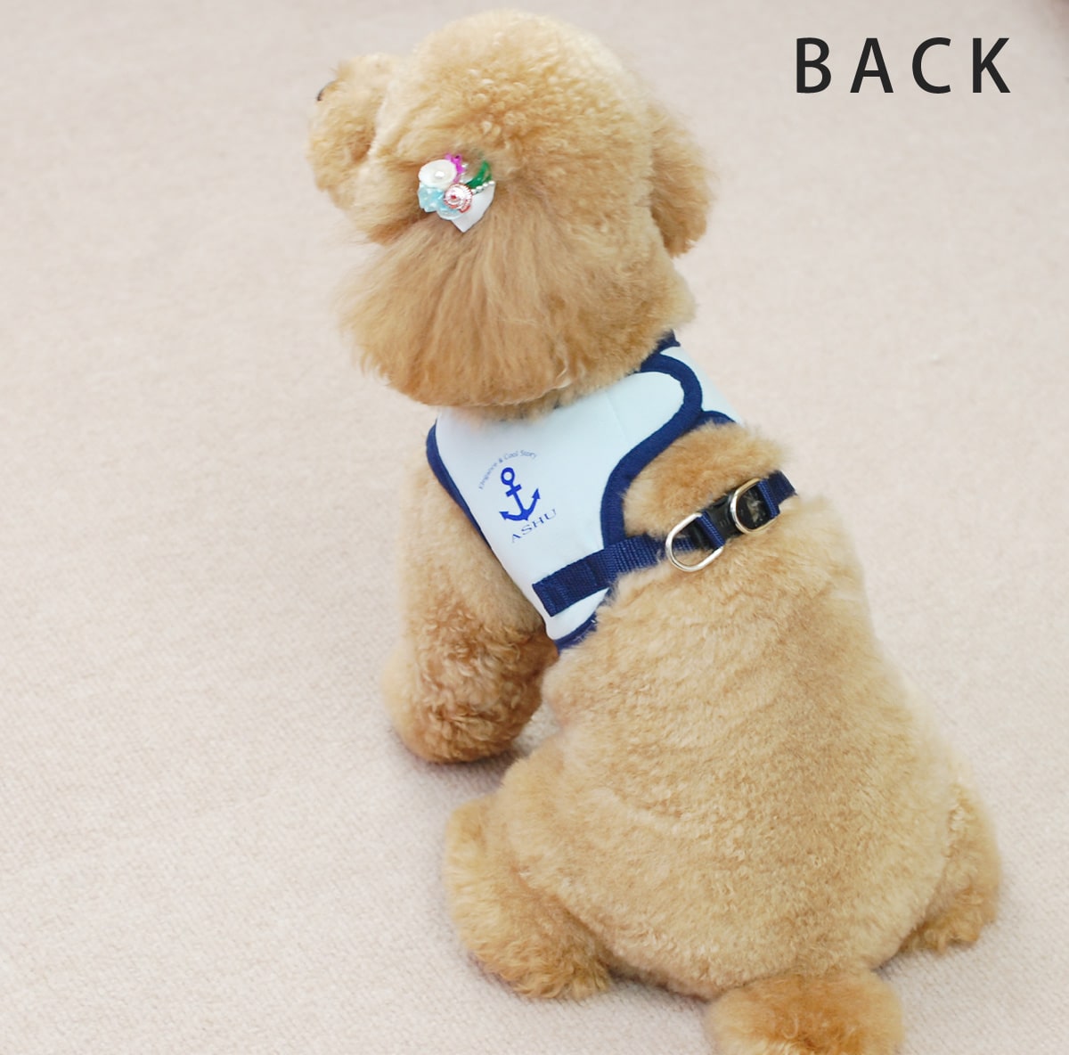 ASHU󥰥ϡͥ꡼ɥå M()