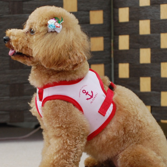 ASHU󥰥ϡͥ꡼ɥå M()