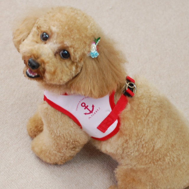 ASHU󥰥ϡͥ꡼ɥå M()