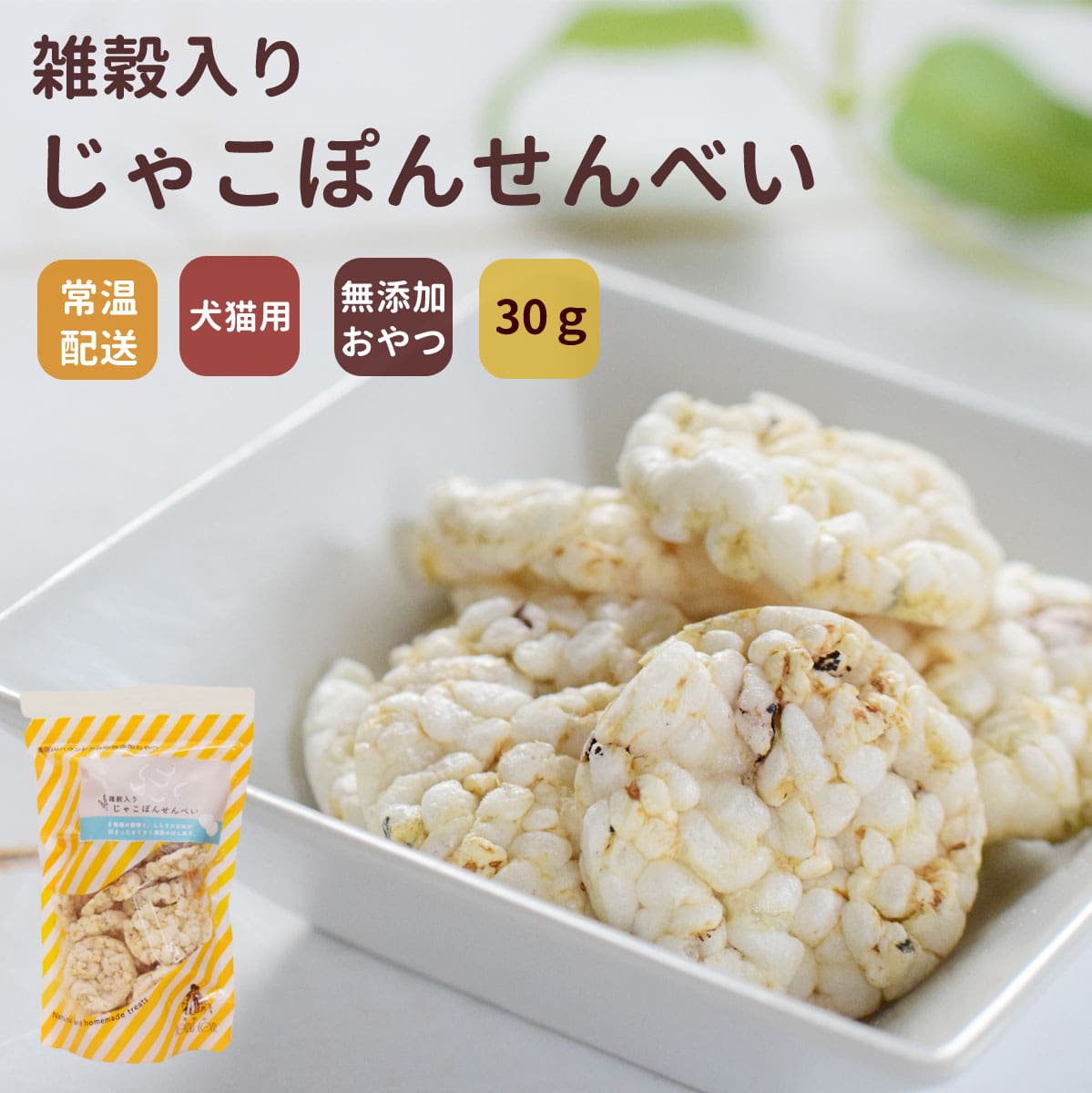 ѥå   㤳ݤ󤻤٤    ¿̵źä