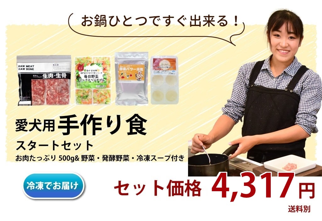 �����Ѽ��꿩�������ȥ��åȡ����������ۡ��֥������ȥ��å�2���åȰʾ�ס��ޤ��ϡ֤ޤȤ��㤤���åȡ׹���������880��̵����