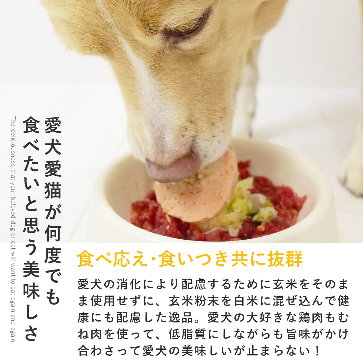 ������ ���ꤴ�Ϥ� �ò��ˤ䤵�������Ƥȥ�����Υ꥾�å� 6��/12��/24��/���å� �ڥϥ���ɥ��࿩Ʋ�ۡ������ء�