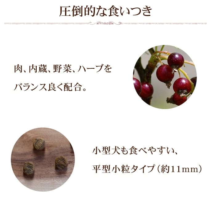 �ɥå��ա��� ����ѥ��� ������ȥǥ��꡼��2.8kg����γ