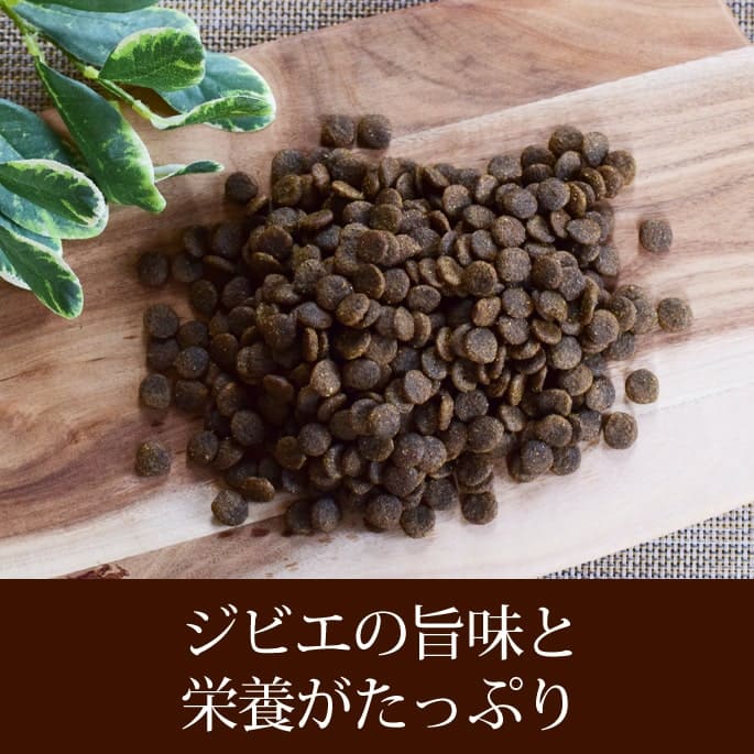 �ɥå��ա��� ����ѥ��� ������ȥǥ��꡼��2.8kg����γ