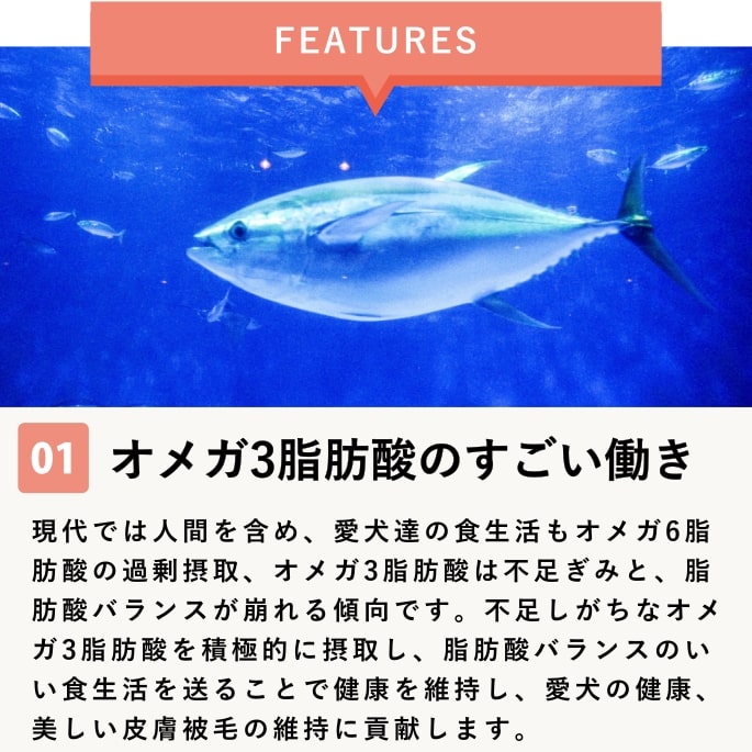 ��ǭ�ѡ��������ᥬ3�����롡3�ܥ��åȡ����ᥬ3���û�/DHA/EPA �����������Ǥ��ޤ���