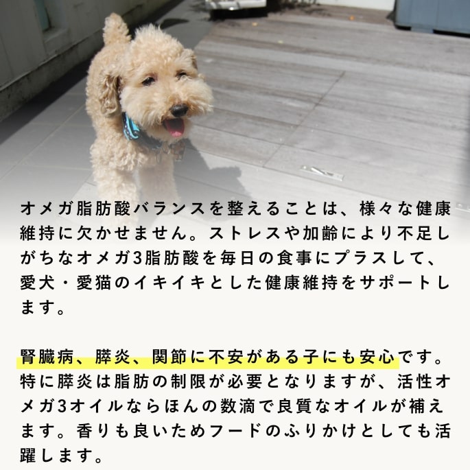 ��ǭ�ѡ��������ᥬ3�����롡3�ܥ��åȡ����ᥬ3���û�/DHA/EPA �����������Ǥ��ޤ���