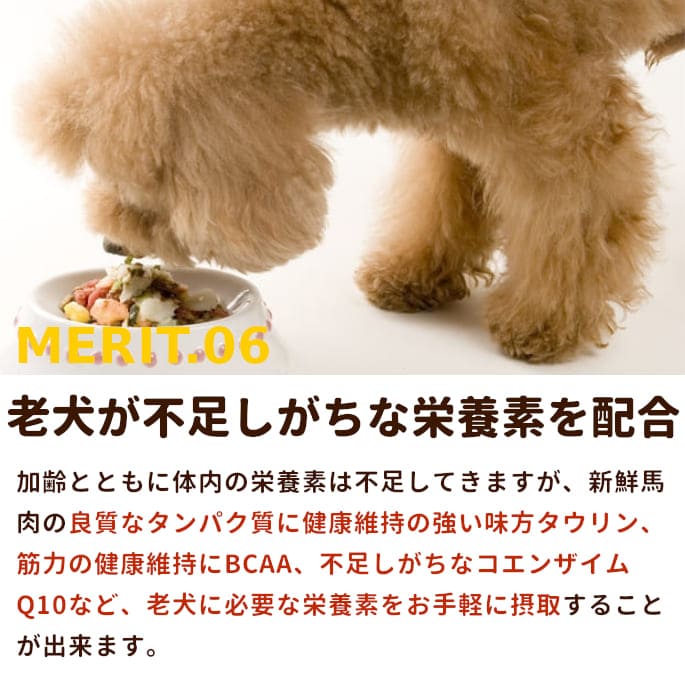 ���� �����������ࡡϷ������������ʬ���ȥ졼 �����󥶥���Q10���������BCAA���ꡡ3kg��5kg��10����a0300��