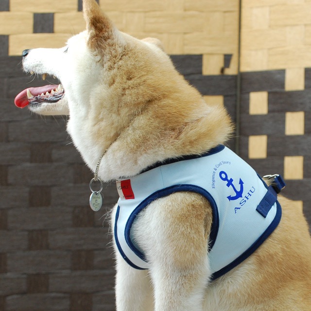 ASHU󥰥ϡͥ꡼ɥå L(淿)