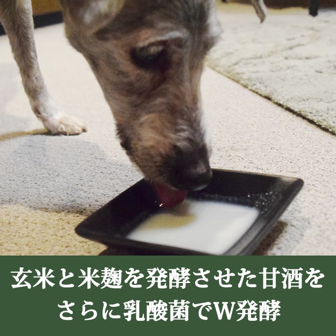 �ڥåȤΥΥ󥢥륳����ż�ȯ�ڤΤᤰ�ߡ�150g������