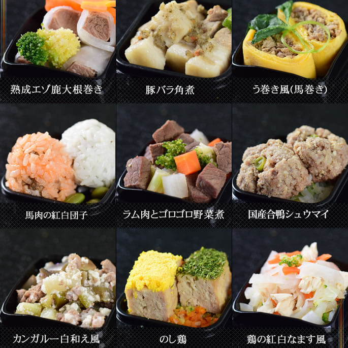 ��9��25��ͽ�󳫻ϡ۸�ǭ�Ѥ�������ǯ�ۤ����ɤ� 2026ǯ�ù�ڰ��3�ʽ� 31�����ꡡ���Ѥ����������ڥå��Ѥ��������ڥå��Ѥ����a0209��