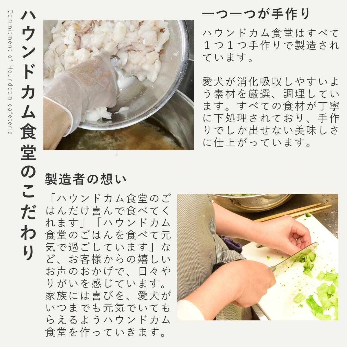 ������ ���ꤴ�Ϥ� �β��ޤ���ȵ����񻨿� 6��/12��/24��/���å� �ڥϥ���ɥ��࿩Ʋ�ۡ������ء�