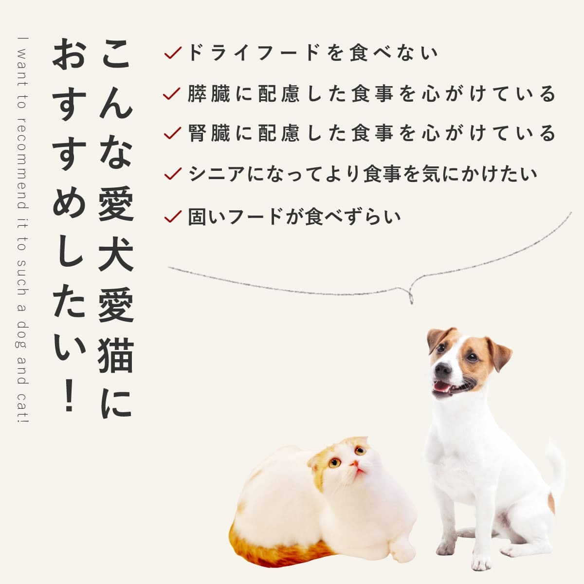 ������ ���ꤴ�Ϥ� �β��ޤ���ȵ����񻨿� 6��/12��/24��/���å� �ڥϥ���ɥ��࿩Ʋ�ۡ������ء�