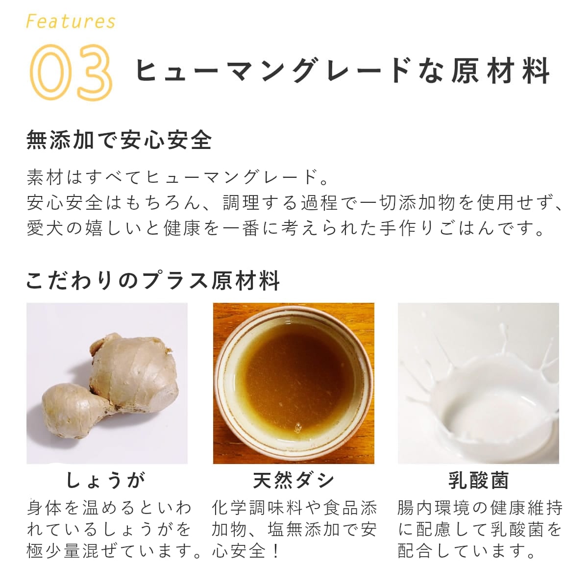 ������ ���ꤴ�Ϥ� �β��ޤ���ȵ����񻨿� 6��/12��/24��/���å� �ڥϥ���ɥ��࿩Ʋ�ۡ������ء�