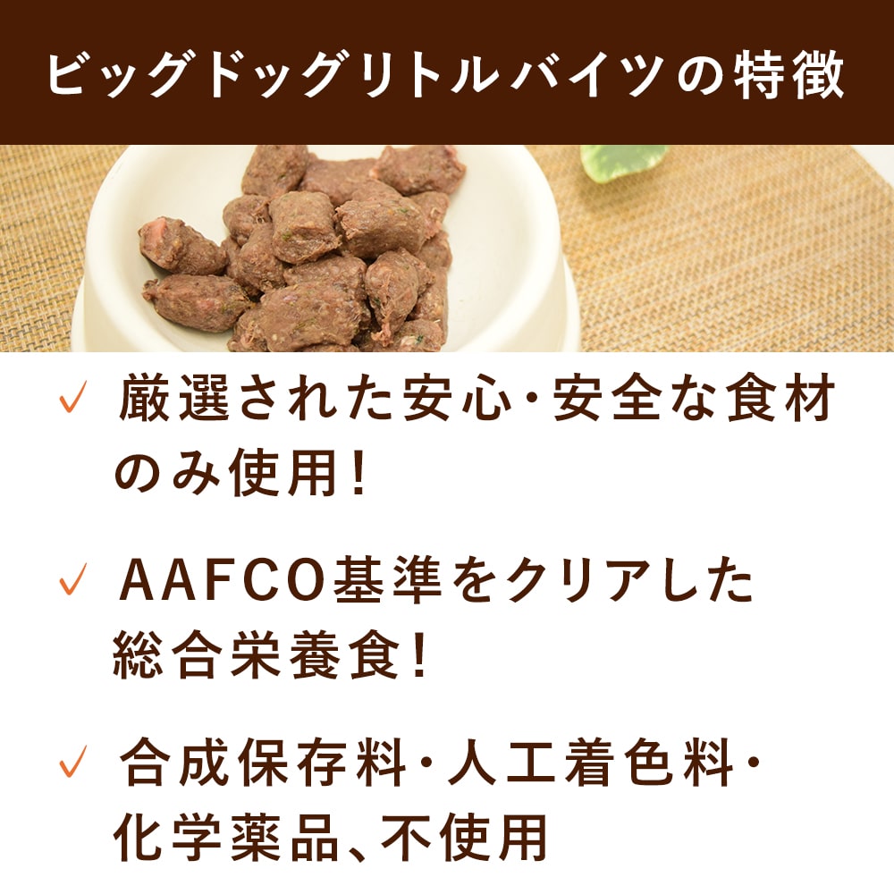���� �����åӥå��ɥå� ��ȥ�Х��� ���󥬥롼 ������������γ��