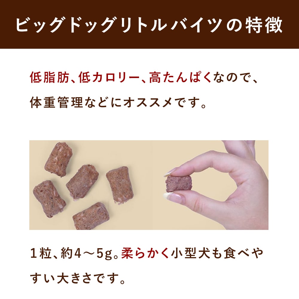 ���� �����åӥå��ɥå� ��ȥ�Х��� ���󥬥롼 ������������γ��