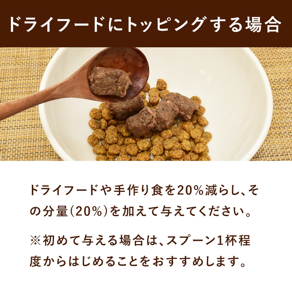���� �����åӥå��ɥå� ��ȥ�Х��� ���󥬥롼 ������������γ��