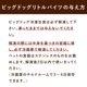���� �����åӥå��ɥå� ��ȥ�Х��� ���󥬥롼 ������������γ��