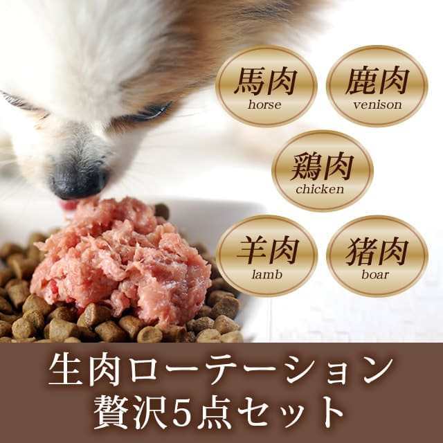 ���� ���������ơ������5�����åȡ����������Ǥ��ޤ��ۢ���ǭ�ˤ⤴���Ѥ��������ޤ�