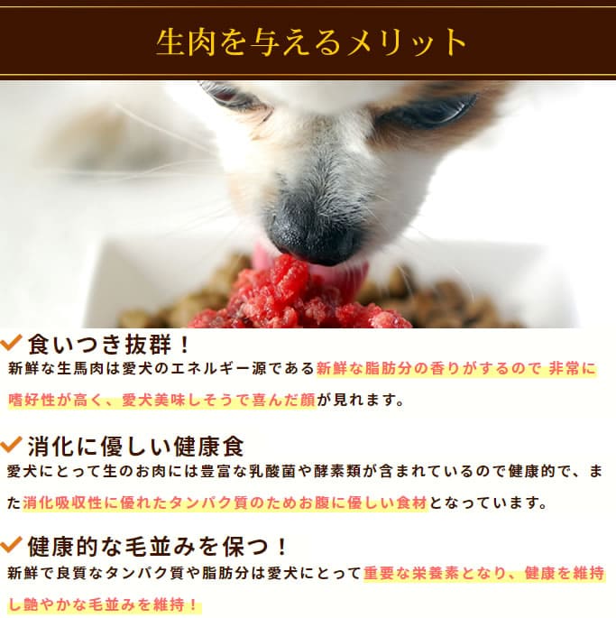 ���� ���������ơ������5�����åȡ����������Ǥ��ޤ��ۢ���ǭ�ˤ⤴���Ѥ��������ޤ�